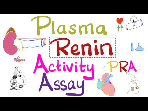 Renin-Angiotensin-Aldosterone System (RAAS) & Plasma Renin Activity Assay – Labs [Video]