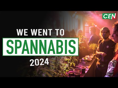 The Cannabis Experts @ Spannabis! 2024 [Video]