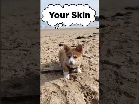 Cover up! Protect your skin [Video]