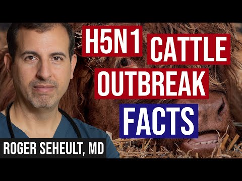 H5N1 Cattle Outbreak: Background and Currently Known Facts [Video]