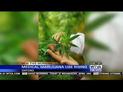 Medical marijuana use is on the rise according to a new study [Video]