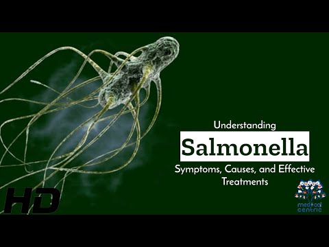 Salmonella Uncovered: Symptoms, Causes, & Cure [Video]