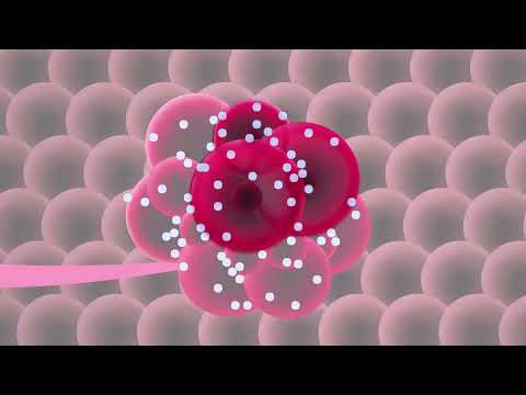 What is Theranostics? [Video]