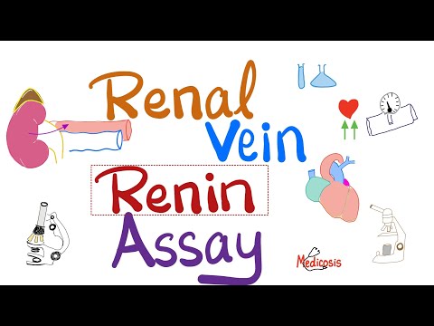 Renal vein renin assay – Hypertension and Renal artery stenosis – Nephrology [Video]
