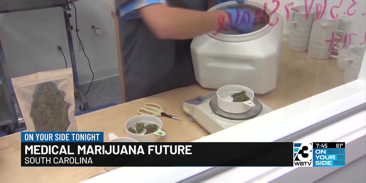 Medical marijuana future [Video]