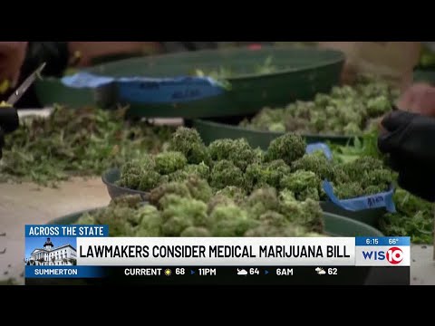 Supporters urge SC representatives to take up medical marijuana bill soon [Video]