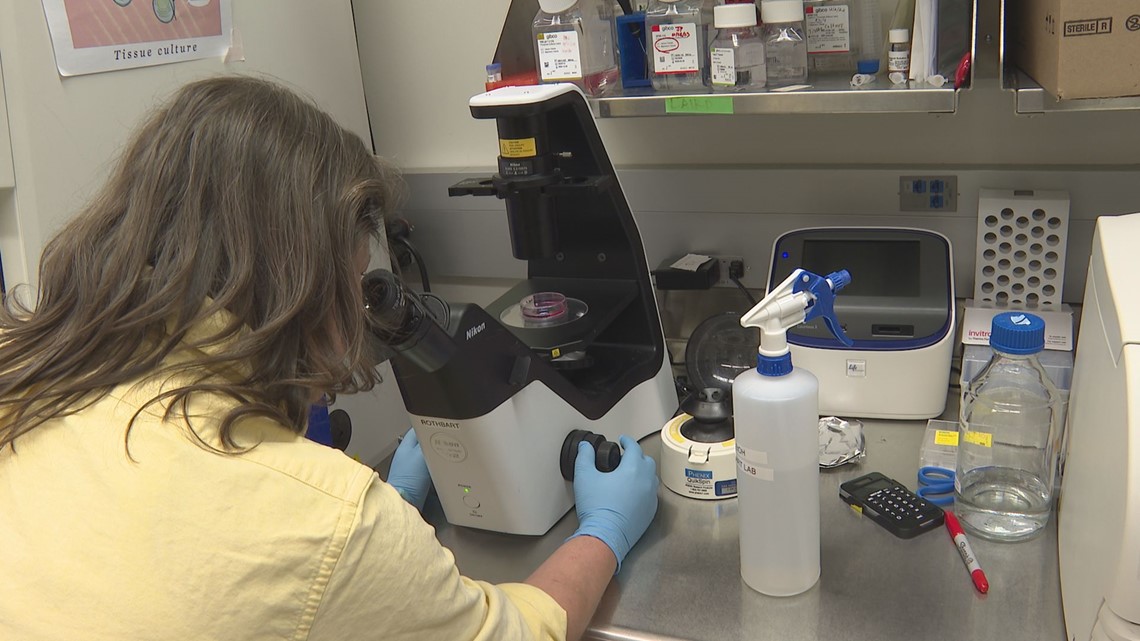 Grand Rapids scientists discover breakthrough in cancer treatment [Video]