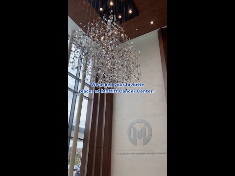 Favorite Places at Moffitt Cancer Center in Tampa, FL [Video]