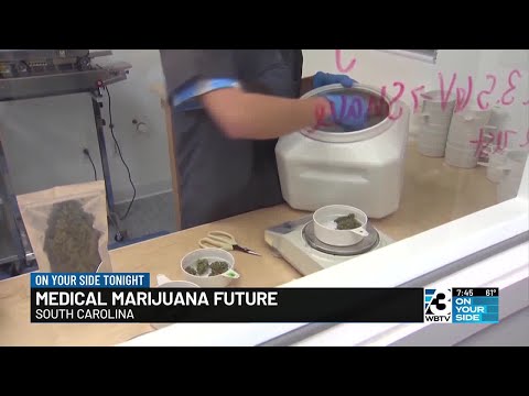 Medical marijuana future [Video]