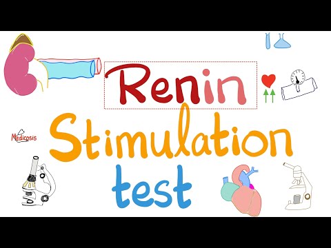 Renin Stimulation Test for Hyperaldosteronism –  Primary Conn vs Secondary – Physiology Labs [Video]
