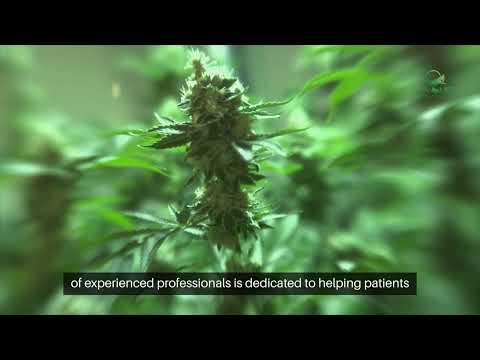 Discover the Latest Trends in Medical Marijuana in Dallas, Tx! [Video]