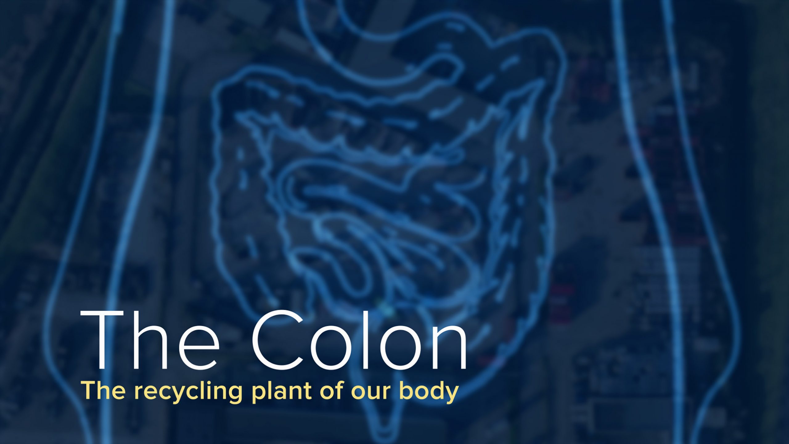 How Colon Cancer Develops > News [Video]