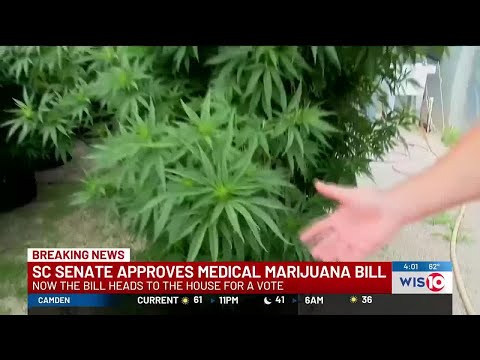 Medical Marijuana bill passes SC Senate [Video]