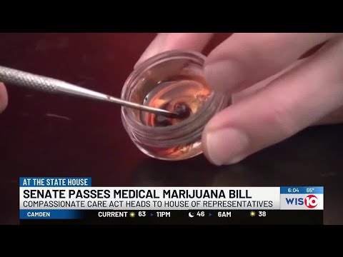 SC Senate passes medical marijuana bill [Video]