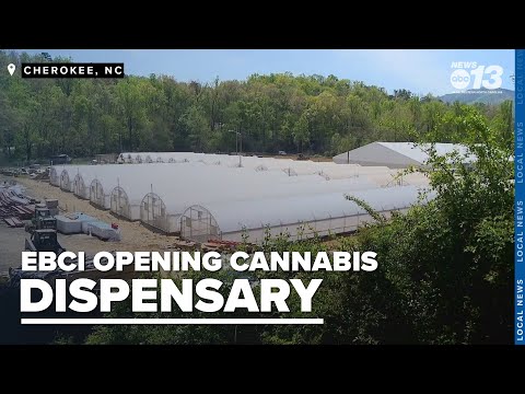 EBCI will open historic NC medical cannabis dispensary, but is discussing adult use [Video]