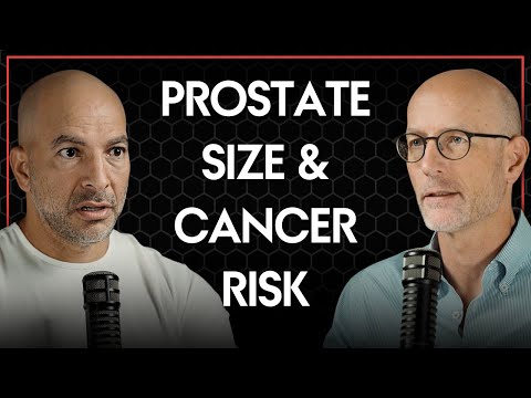 How does prostate size relate to cancer risk? | Peter Attia & Ted Schaeffer [Video]