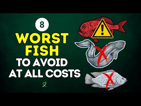 8 Worst Fish You Shouldn’t Eat [Video]