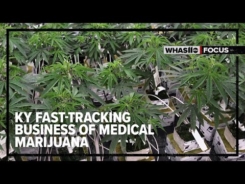 Key factor in timeline for medical marijuana in Kentucky has been pushed up several months [Video]