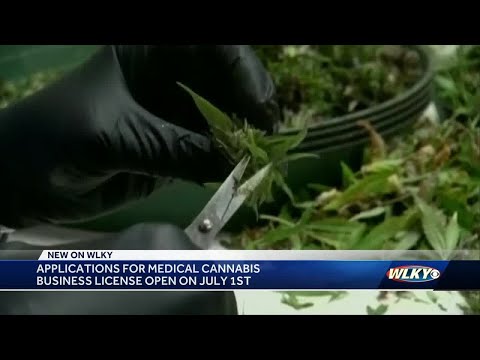 Medical marijuana licensing in Kentucky to begin 6 months ahead of schedule [Video]