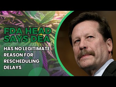 FDA Head Urges Immediate Marijuana Rescheduling [Video]