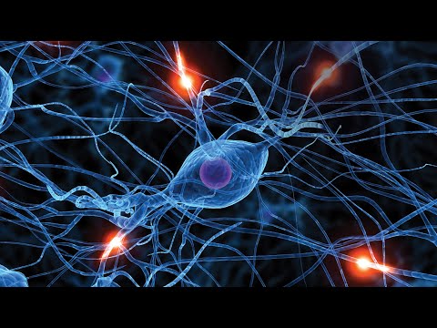 Research collaboration to advance innovative solutions for patients with neurological diseases [Video]