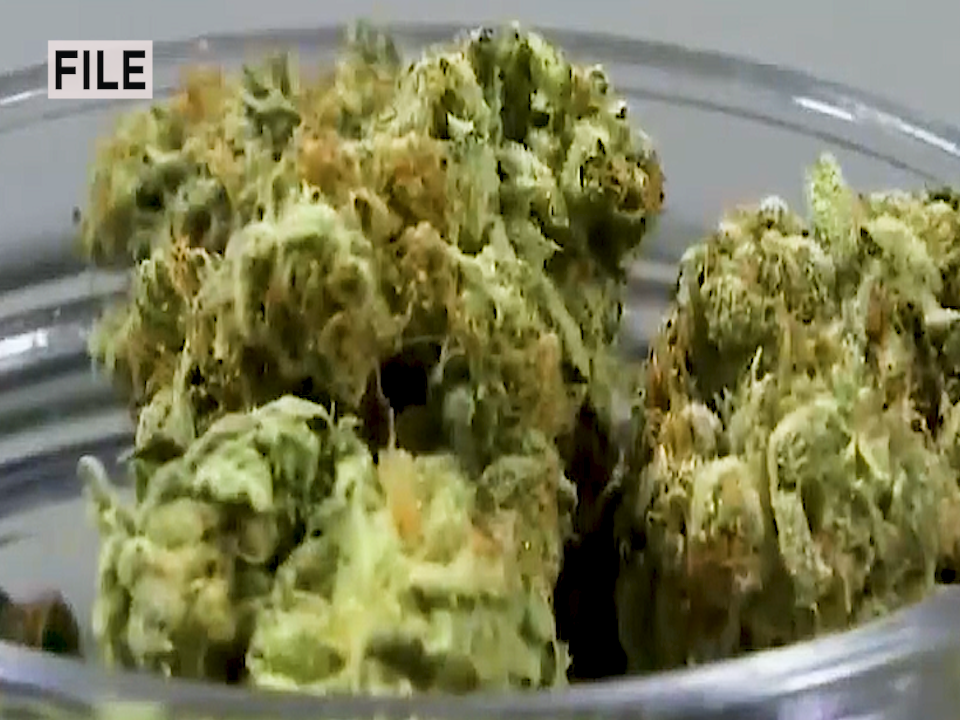4/20 celebrations could be tempered by West Virginias marijuana laws [Video]