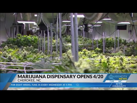 NC medical marijuana legal on NC tribal land Saturday [Video]