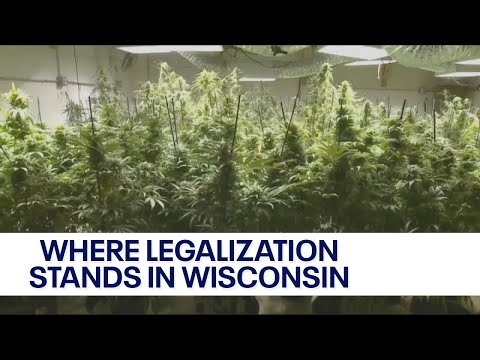 Marijuana legalization and Wisconsin; what to know about latest push | FOX6 News Milwaukee [Video]