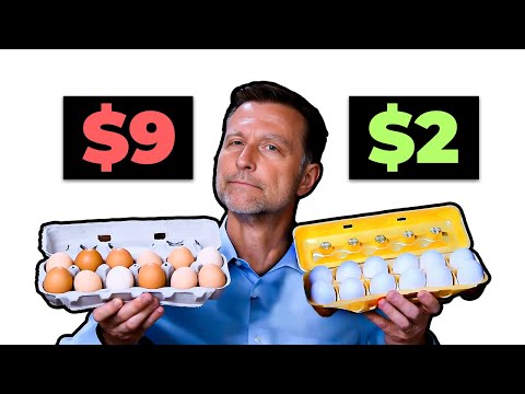 Are Expensive Eggs Really Worth It? [Video]