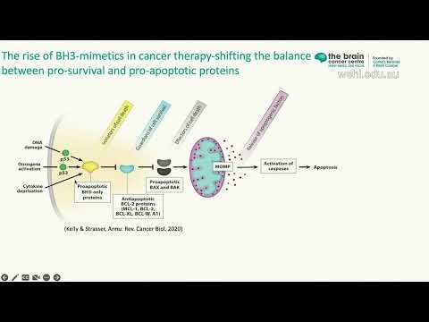 Moujalled D (2024) Exploring programmed cell death based treatments in brain cancer [Video]