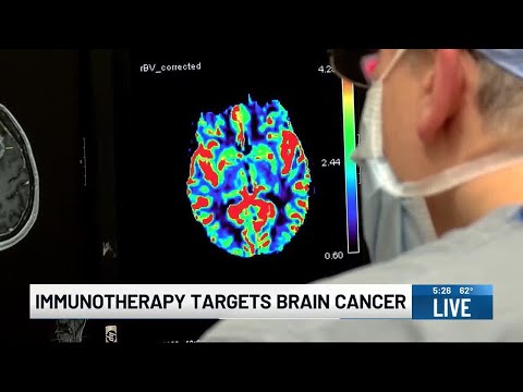 Medical Moment: Immunotherapy targets brain cancer [Video]