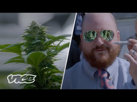 Why Marijuana Could Help Save Veteran Lives [Video]