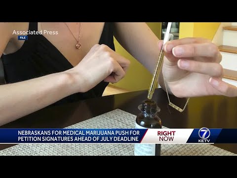 Nebraskans for Medical Marijuana were out in full force on 4/20, collecting signatures to get iss… [Video]