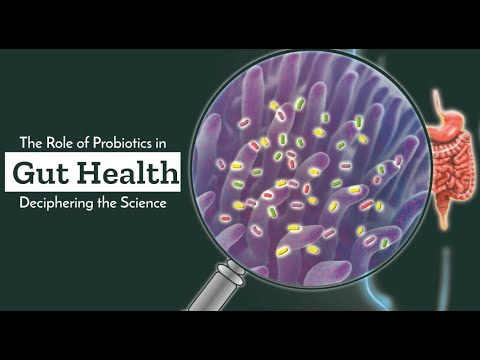 Probiotics: Your Gut’s Best Friends? [Video]
