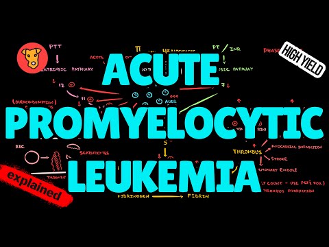 ACUTE PROMYELOCYTIC LEUKEMIA Pathogenesis DIC Changes in Blood analysis  ATRA Treatment [Video]