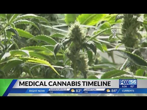 Kentucky businesses will soon be able to apply for medical marijuana licenses [Video]