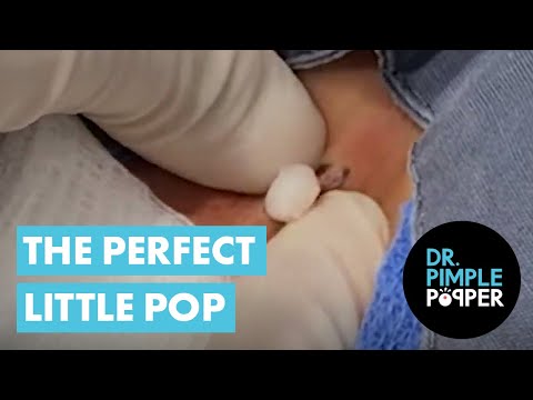THE PERFECT LITTLE POP [Video]