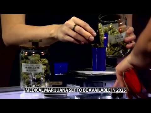 Application process will begin this summer for Kentucky businesses seeking medical marijuana license [Video]