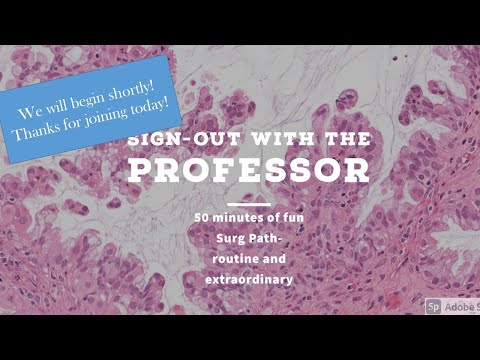 Sign-out with the Guest Professor- April ’24 Basics of Derm Path [Video]