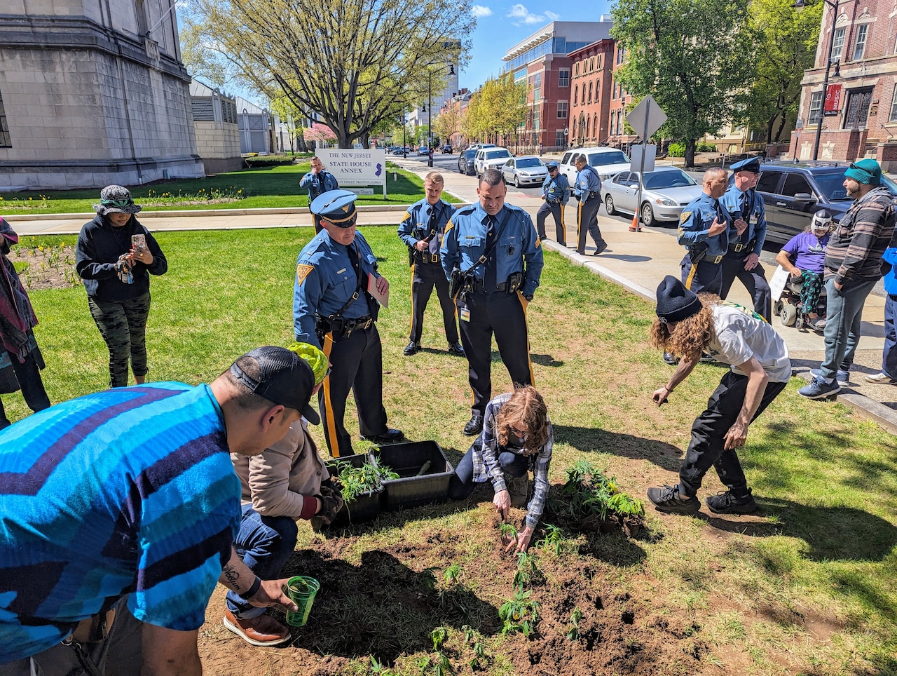 You cant grow weed at home, so they planted it on the Statehouse lawn [Video]