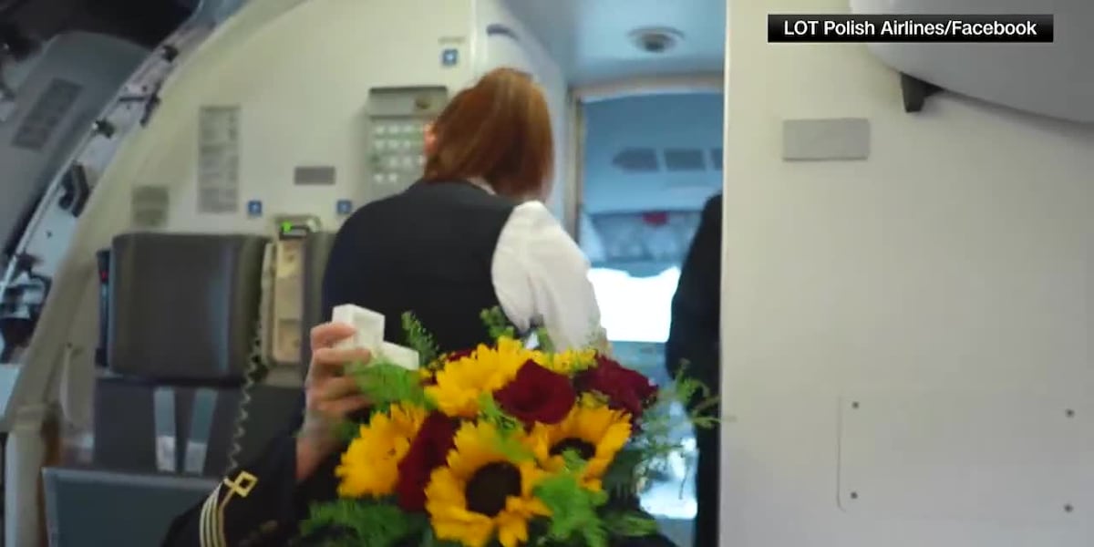 Pilot proposes to flight attendant on board plane [Video]