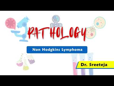 20. Non Hodgkin’s Lymphoma | USMLE Step 1 Pathology [Video]