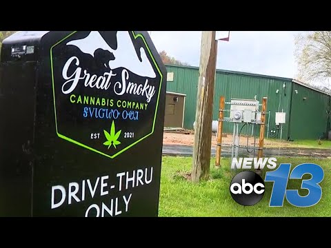 Medical marijuana debut in WNC stirs safety concerns and patient card surge [Video]