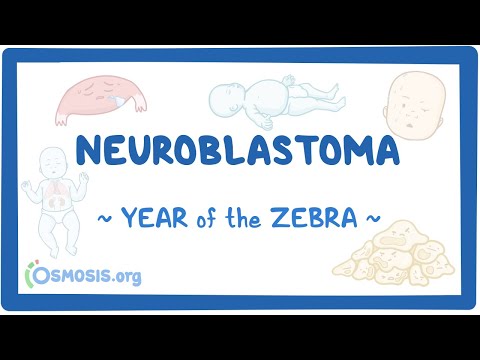 Neuroblastoma (Year of the Zebra 2024) [Video]