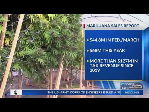 More than $44 million spent on medical marijuana in Arkansas in last two months [Video]