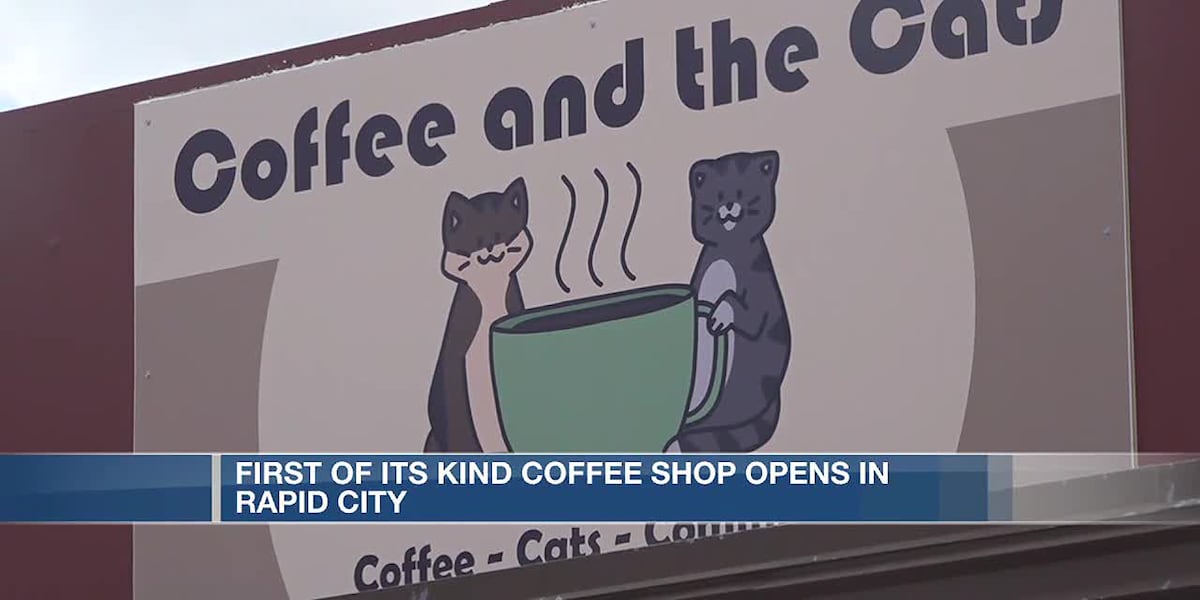 Coffee and the Cats gives you a chance to play with and possibly adopt a little kitty. [Video]