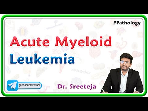 16. Acute Myeloid Leukemia | USMLE Step 1 Pathology [Video]