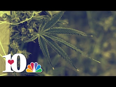 U.S. to moving marijuana to less dangerous drug [Video]