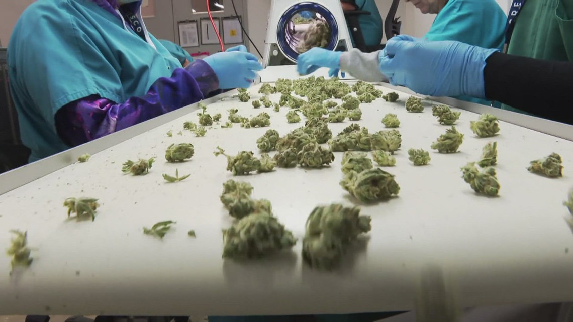 Drug Enforcement Administration proposed to reclassify marijuana [Video]