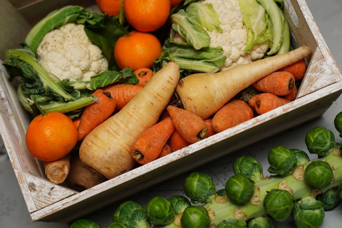 Plant-based diet may help cancer patients live longer, research suggests [Video]